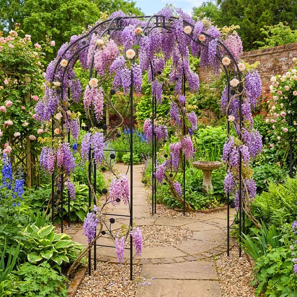 Rose Arch Metall Svart, Kodustaar