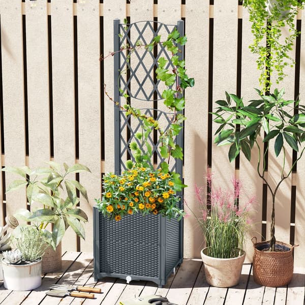 Planter med Espalier, 40x40x140 cm, Kaffe , Star