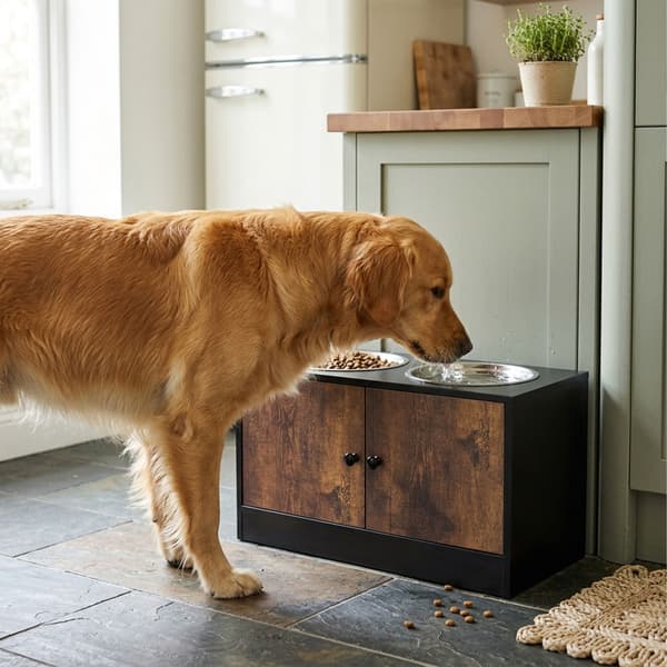 Upphöjd matskål för hund, Kodustaar