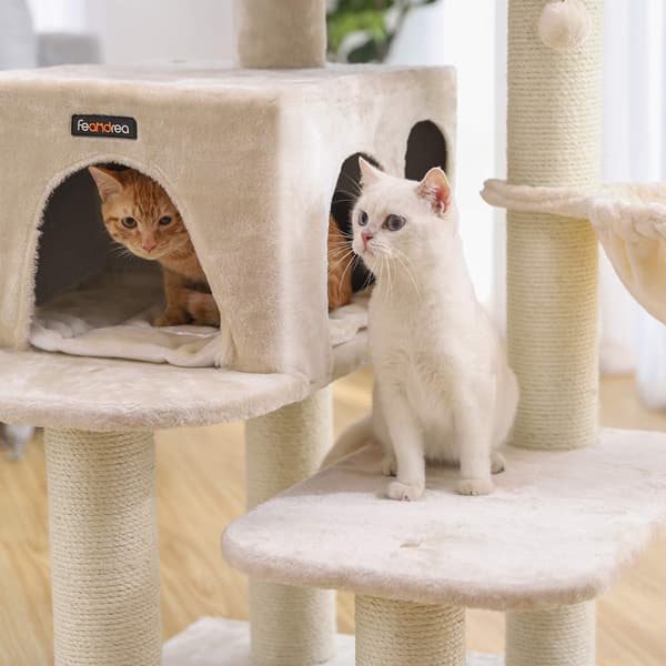 Kattträd 70x60x112 cm Beige