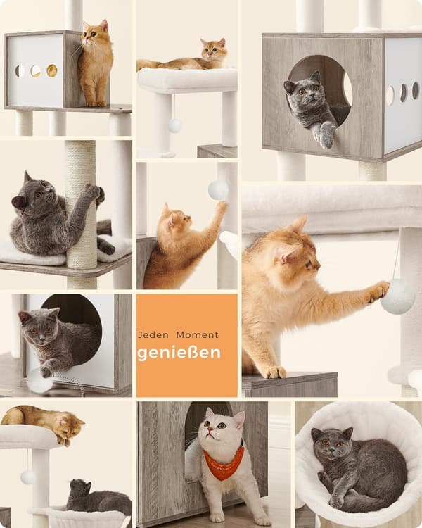 Kattträd med Kattlåda-Skåp