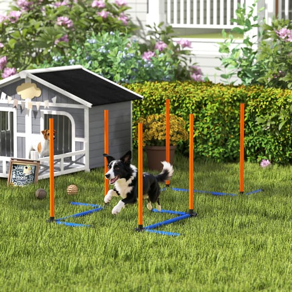 Hund Agility Sæt, 3-delt Træningsudstyr, 65x64x69 cm, Orange, polyester