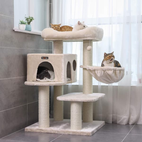 Kattträd 70x60x112 cm Beige