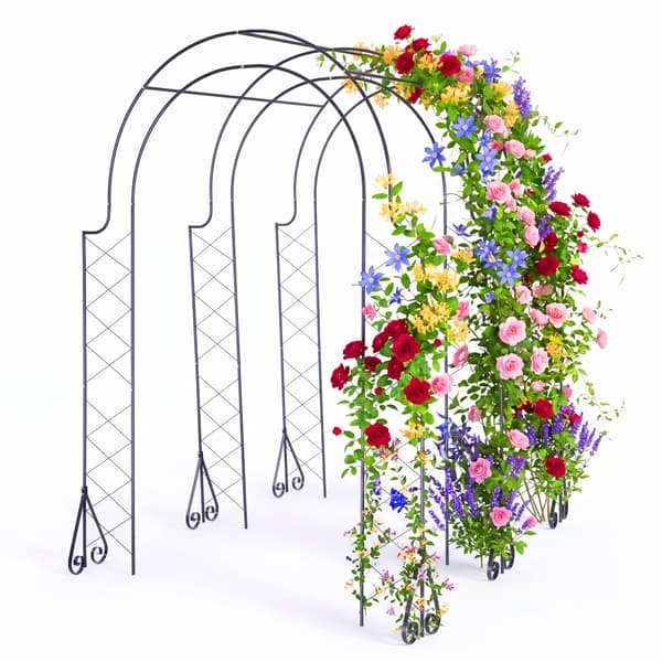 Rose Trellis 3-bågar Svart Metall, Kodustaar