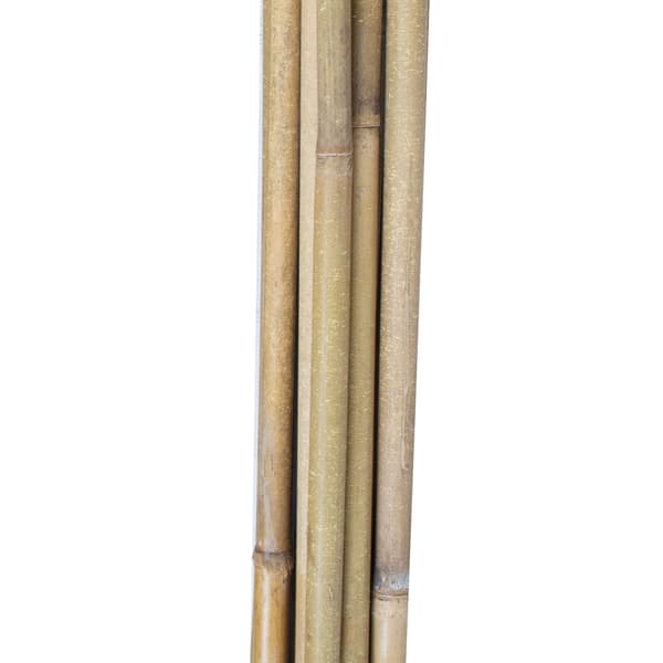 Växtstödspinnar 180x1,2x1,4 cm Bambustickor