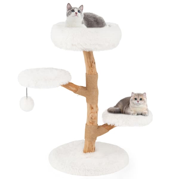 Kattställning, 50x90 cm, Vit, Päronträ , Star