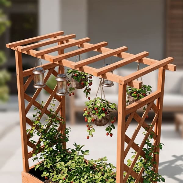 Planter med spaljé och tak, Kodustaar