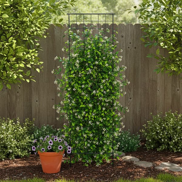 Trellis sæt 193x58x1 cm sort stål, Kodustaar