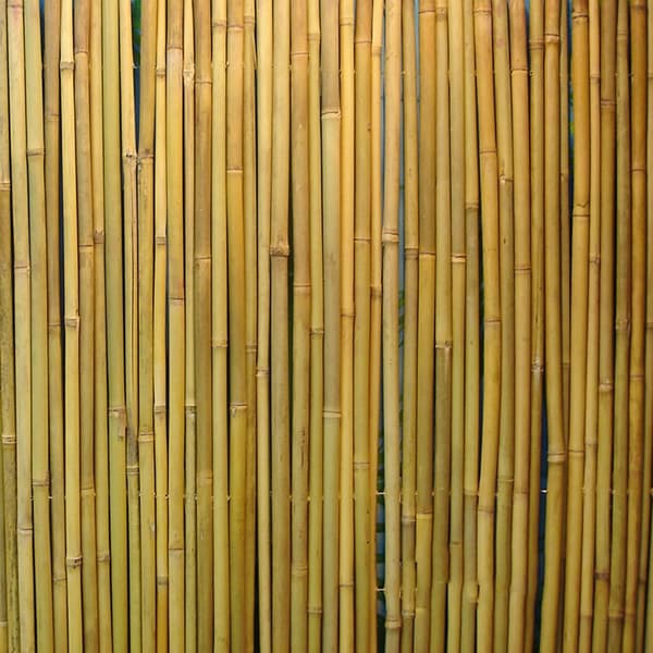 Bambushegn 100x300 cm, In Garden