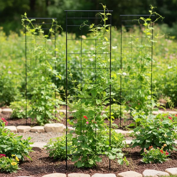 Trellis sæt 193x58x1 cm sort stål, Kodustaar