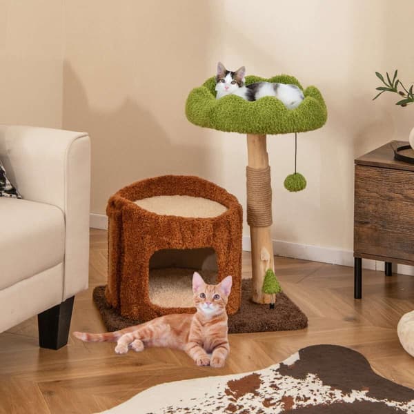 Katte træ, 60x46x75 cm, Brun