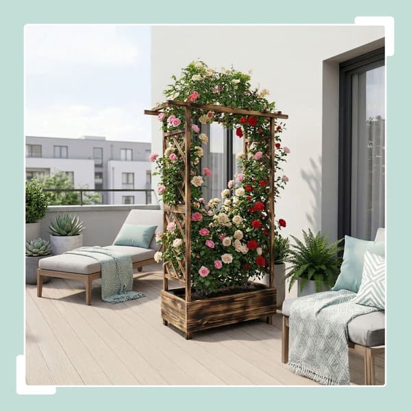 Planter med espalier og baldakin i træ, Kodustaar