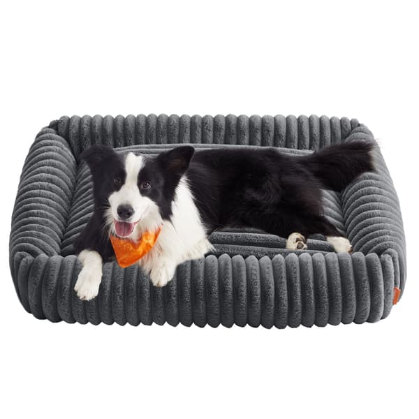 Ortopedisk hundeseng, 106 x 75 x 20 cm
