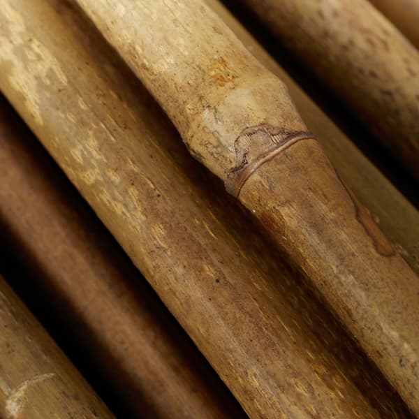 Växtpinnar 105 cm Brun Bambupinne, Kodustaar