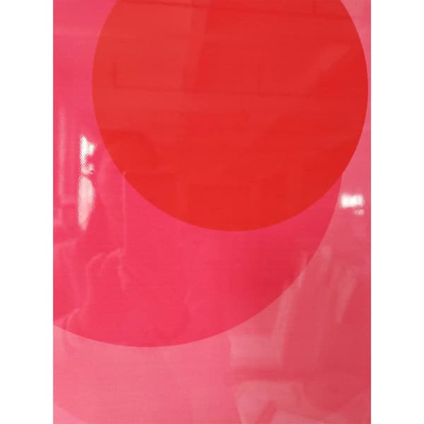 Väggkonst 60x80x3,3 cm Rosa Akryl