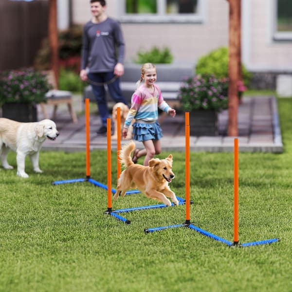Hund Agility Sæt, 3-delt Træningsudstyr, 65x64x69 cm, Orange, polyester