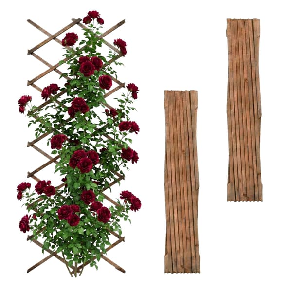 Trellis Set 3 delar utdragbart trä, Kodustaar