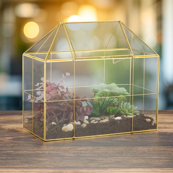 Glasterrarium Husform Stor, Kodustaar