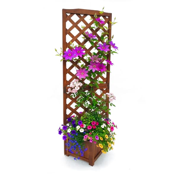 Planteringslåda med spaljé 180 cm, Kodustaar