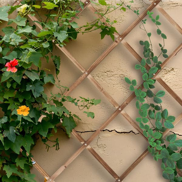 Trellis Set 180x90 cm trä, Kodustaar