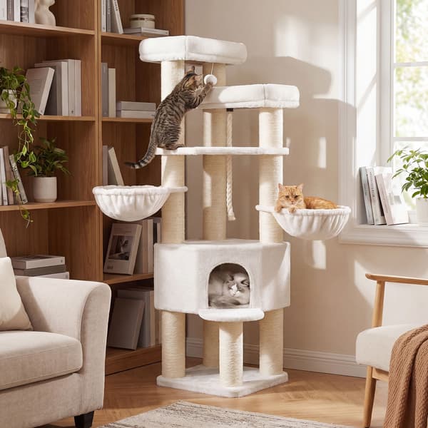 Kattetræ, Multi-niveau, Tykkesisalpæle