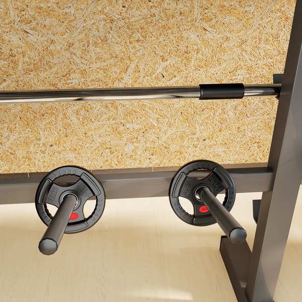 Viktplattset 2x5 kg 24x3,5 cm Svart plast