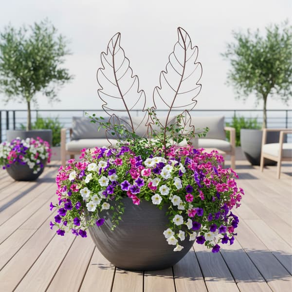 Trellis Set Lövformad Metall, Kodustaar