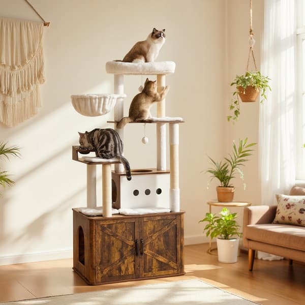 Kattträd 80x49x170 cm Brun