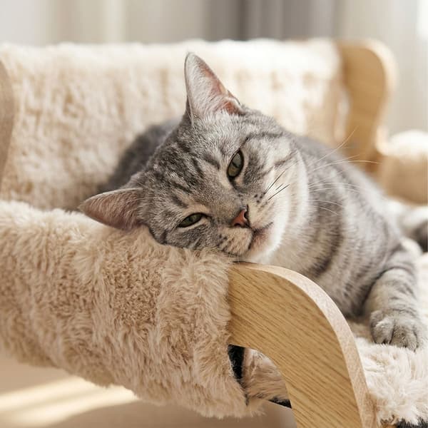 Upphöjd mjuk kattbädd, Kodustaar