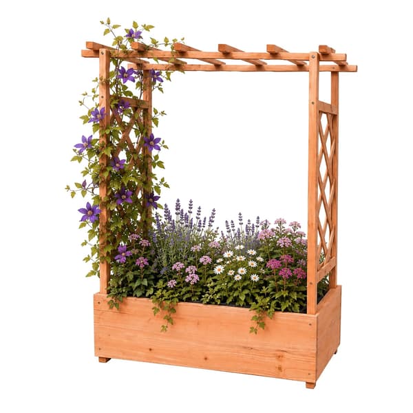 Planter med spaljé och tak, Kodustaar