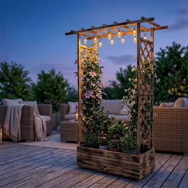 Planter med espalier og baldakin i træ, Kodustaar
