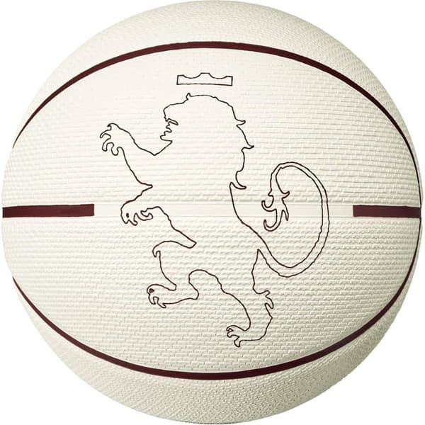 Nike LeBron Basketball