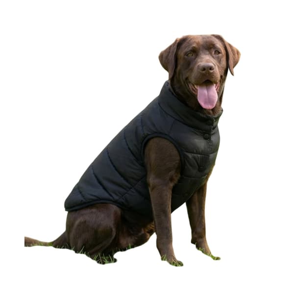 Portman & Pooch Vadderad Hundjacka