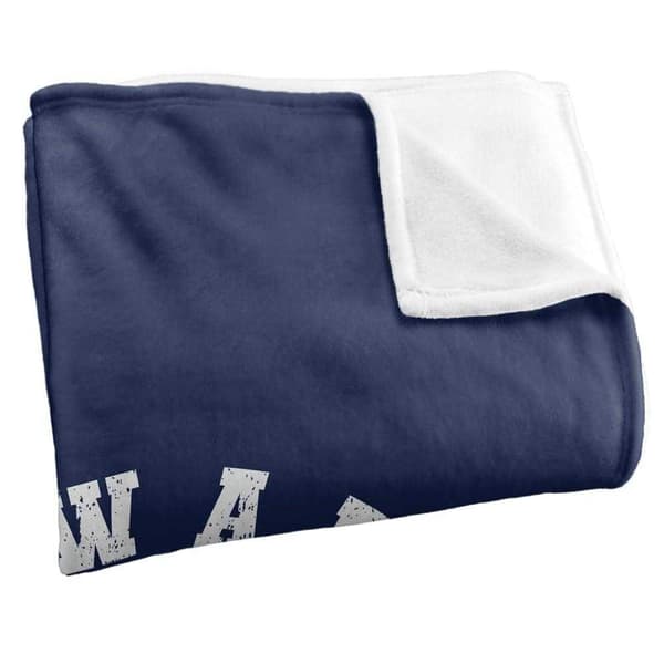 Harry Potter Ravenclaw Quidditch Blanket