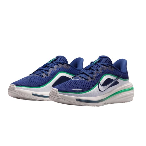 Nike Dam Winflo 12 Skor