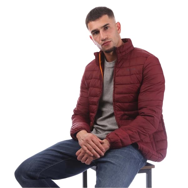 Aquascutum Pufferjacka för män