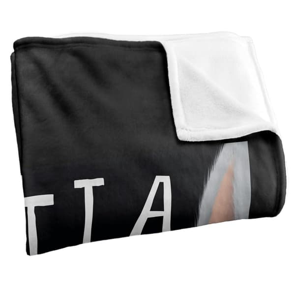 Looney Tunes Bugs Bunny Aint I A Stinker Soft Touch Blanket