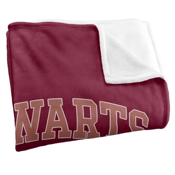 Harry Potter Hogwarts Alumni Gryffindor Blanket