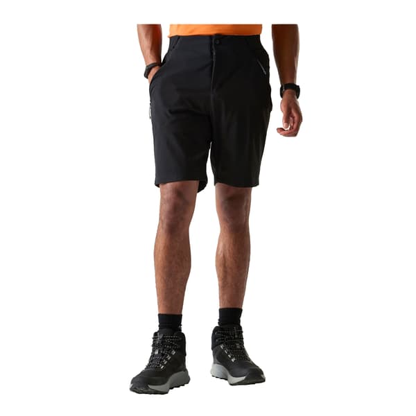 Dare 2B Herr Torrek Lite Shorts