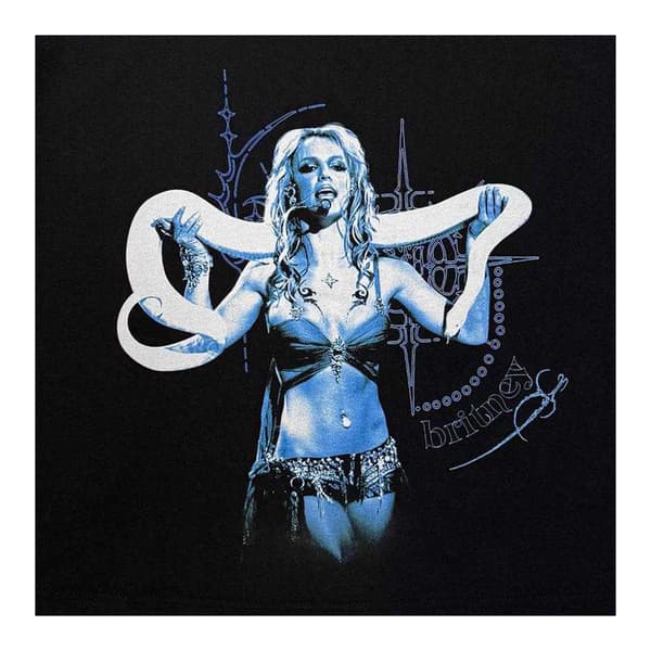 Britney Spears Dam/Dam Snake Crop Top