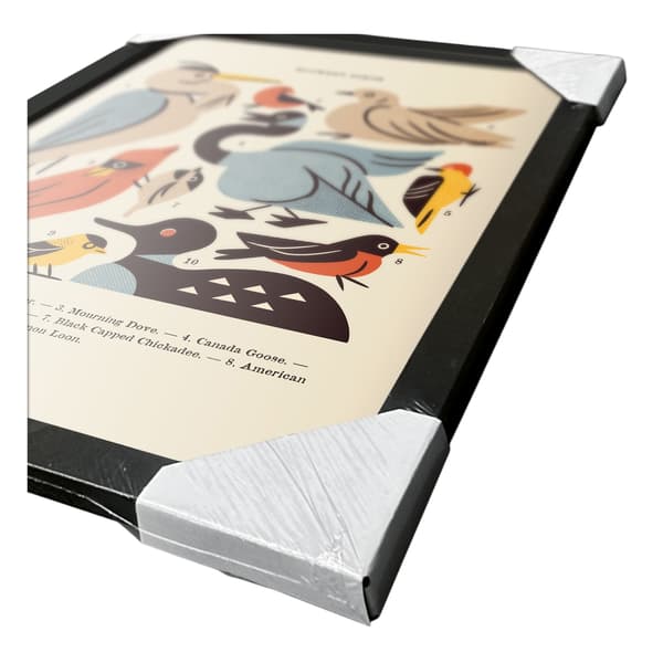 Midwest Birds Framed Poster