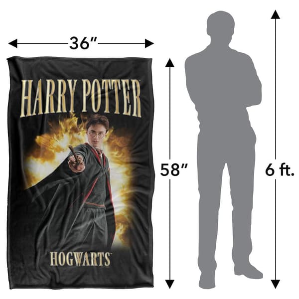 Harry Potter Poster 90s Blanket