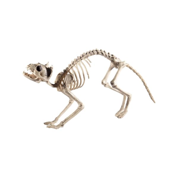 Smiffys Cat Skeleton Prop