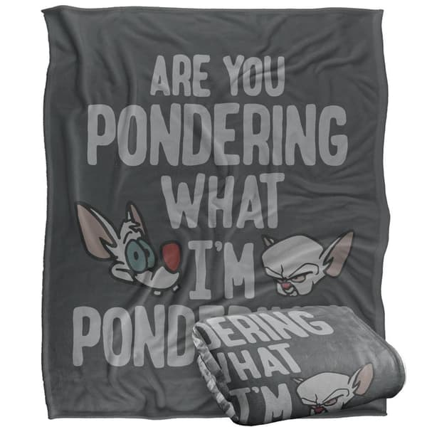 Pinky and The Brain Pondering Blanket