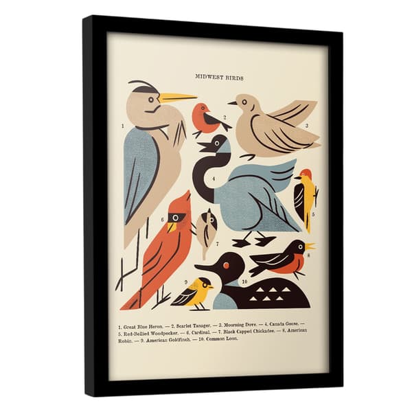 Midwest Birds Framed Poster
