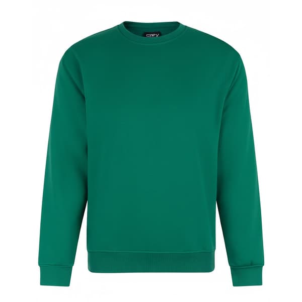 PRO RTX Mens Pro Sweatshirt
