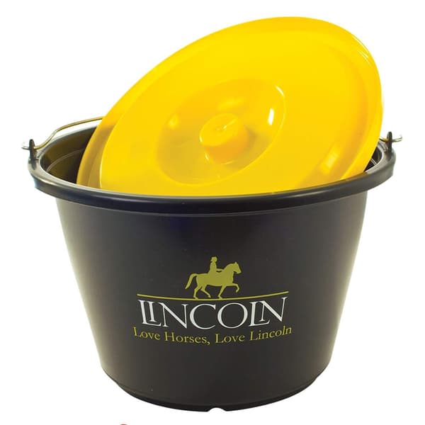 Lincoln Hink med Lock