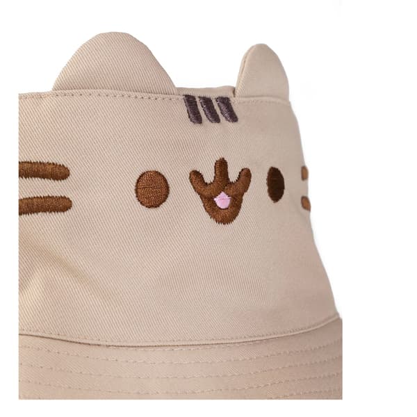 Pusheen Dam/Dam Ansiktshatt