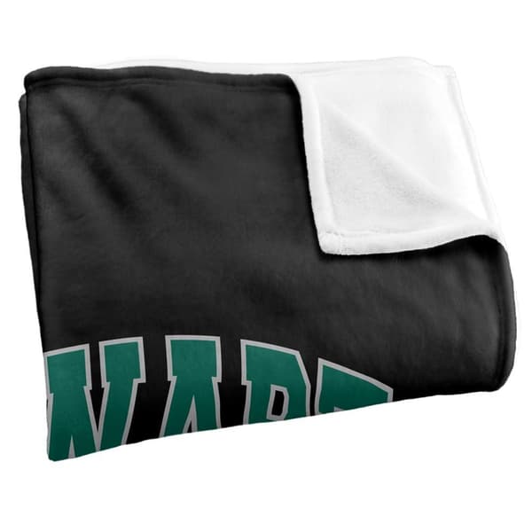 Harry Potter Slytherin Crest Throw