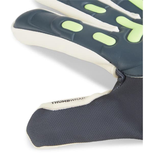 Puma Unisex Vuxen Future Målvaktshandskar